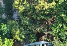 Naro, Fiat 600 finisce in una scarpata in via Giacomo Matteotti: quattro giovani feriti gravi