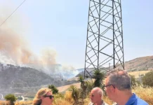 Duecento incendi attivi, Savarino: “In campo con tutti i mezzi”