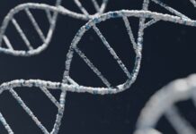 Senzatetto morto dal caldo a Canicattì, test dna per dare un nome alla vittima a chain link fence