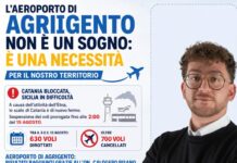 Naro, l’assessore Di Gerlando: «L’aeroporto ad Agrigento non è un sogno, è una necessità. La crisi di Catania lo dimostra»