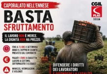 Caporalato nell’Ennese, Flai Cgil Sicilia: “Lo sfruttamento nei campi è una realtà che denunciamo da anni”