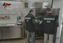 Controlli dei Nas: sospese attività, sequestrati alimenti ed elevate sanzioni