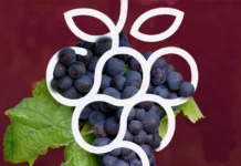 La Sicilia del vino cambia stagione: torna “Autunno in Cantina”