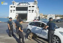 Guardia di Finanza, ad Agrigento arriva Nolly: il pastore tedesco che fiuta la droga