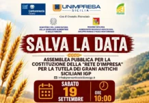 Grani Antichi Siciliani, dalla Rete d’Impresa al riconoscimento IGP: a Serradifalco si presenta il disciplinare