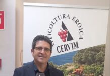Mondial des Vins Extrêmes 2026, la Sicilia protagonista della viticoltura eroica con sei Gran Medaglie d’Oro