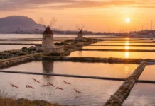 Le Saline di Sicilia candidate a Patrimonio Unesco, sì dal Ministero, entro fine mese la valutazione finale a Parigi