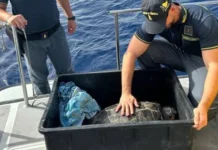 Restituita al suo habitat naturale un esemplare di tartaruga caretta caretta salvata nel mare di Lampedusa