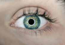 Palermo, Giornata mondiale della vista: controlli oculistici gratuiti con l’ambulatorio mobile Uici person showing green and black eyelid closeup photography