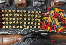 Fucile, munizioni e 70 chili di marijuana: denunciato 72enne a Licata