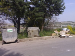 cassonetti-rovesciati1